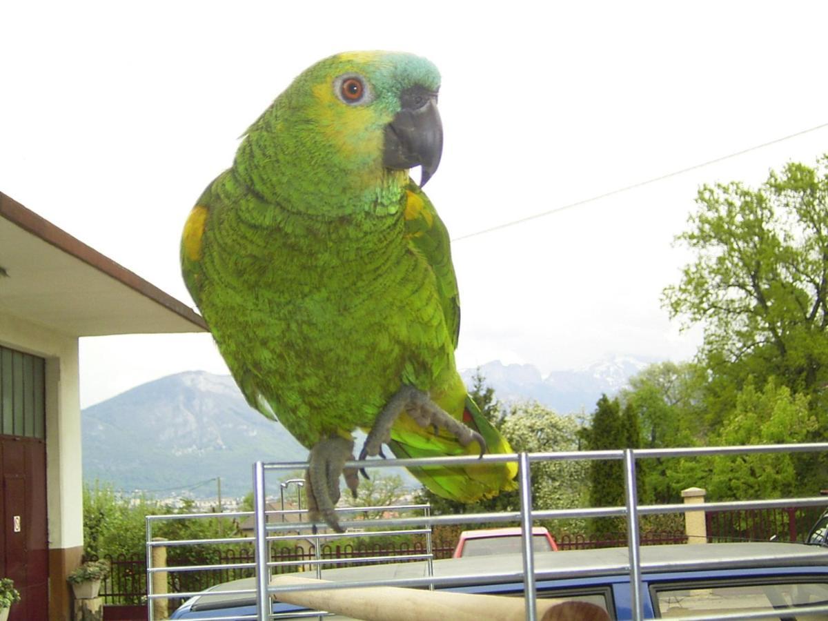 Le Paon Bleu Annecy Poisy Bed and Breakfast Buitenkant foto